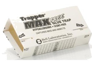 Trapper Max Glue, Glue trap, manufactured from Cardboard