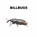 Billbug Control